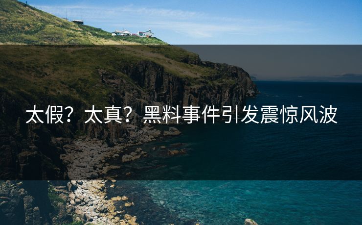 太假？太真？黑料事件引发震惊风波