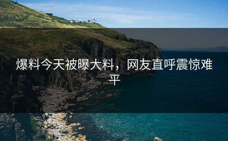 爆料今天被曝大料，网友直呼震惊难平