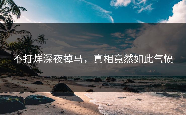 不打烊深夜掉马，真相竟然如此气愤