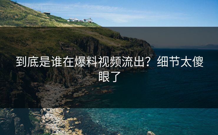 到底是谁在爆料视频流出？细节太傻眼了