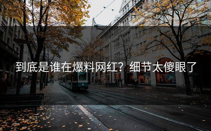 到底是谁在爆料网红？细节太傻眼了