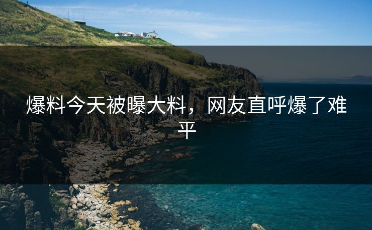 爆料今天被曝大料，网友直呼爆了难平