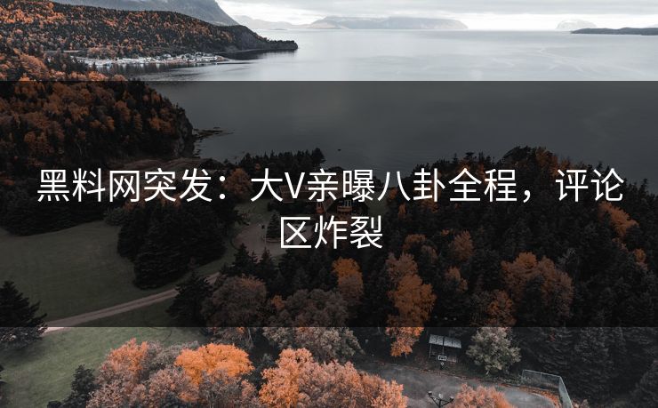黑料网突发：大V亲曝八卦全程，评论区炸裂