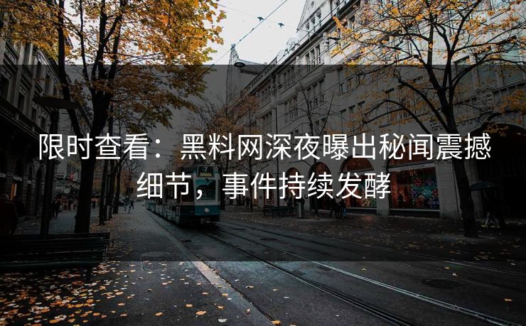 限时查看：黑料网深夜曝出秘闻震撼细节，事件持续发酵