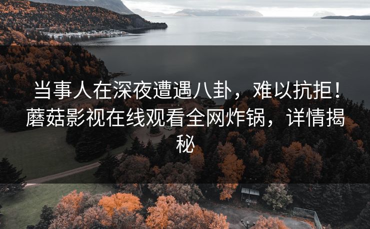 当事人在深夜遭遇八卦，难以抗拒！蘑菇影视在线观看全网炸锅，详情揭秘