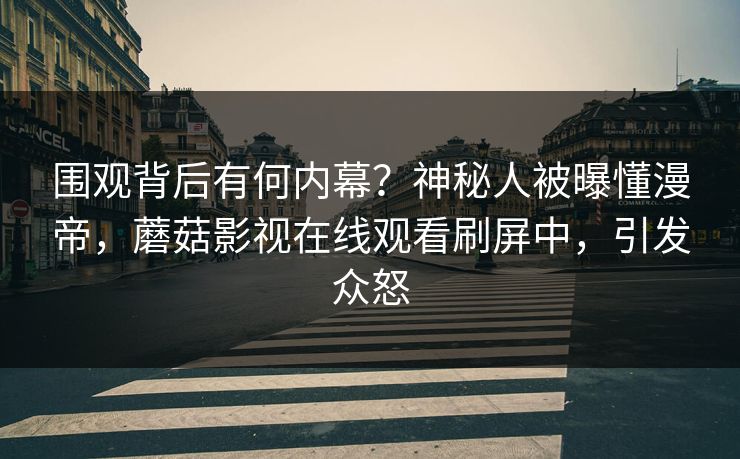 围观背后有何内幕？神秘人被曝懂漫帝，蘑菇影视在线观看刷屏中，引发众怒