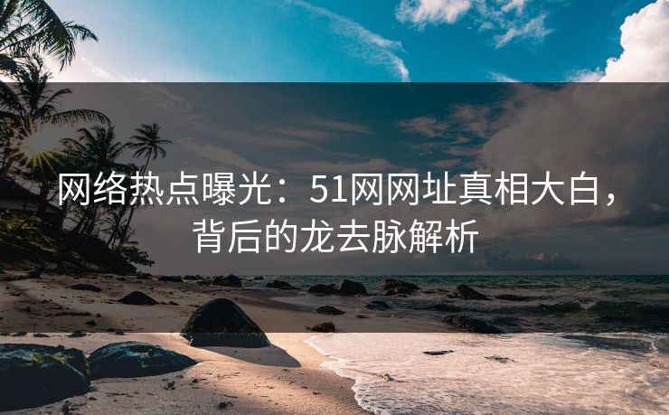 网络热点曝光：51网网址真相大白，背后的龙去脉解析